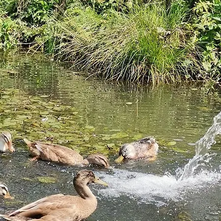 דירה Rainerhof *